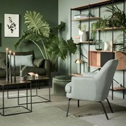plante-de-interior