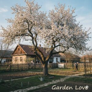 Par inflorit in gradina, primavara