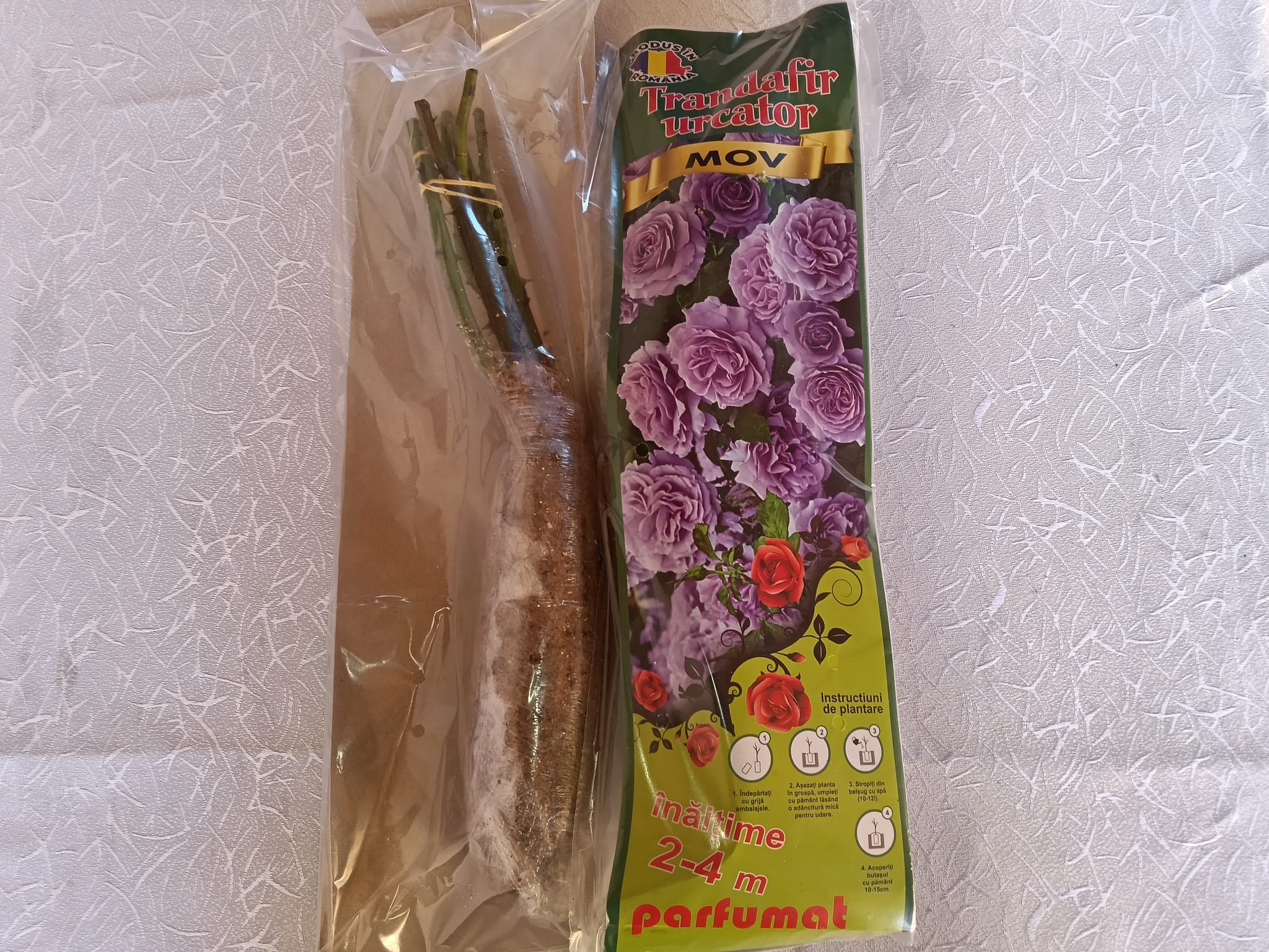 trandafir mov r