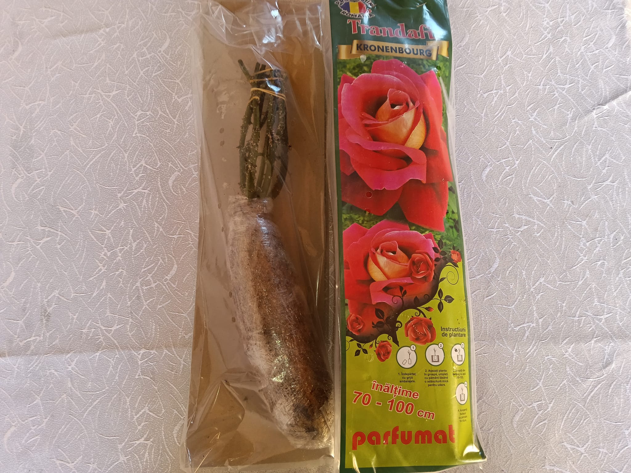 trandafir rosenbourg r