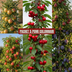 Cinci pomi fructiferi columnari, mar, par, prun, visin si piersic, cu fructe coapte in livada Garden Love