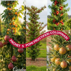 Mix 5 pomi fructiferi columnari, cu fructe proaspete in gradina Garden love. mixul contine mar, par, cires, cais si nectarin