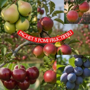 Pachet 5 pomi fructiferi deosebiti, mar, par, prun, cires si visin