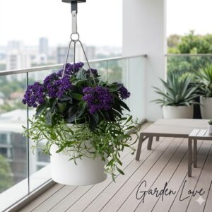 Ghiveci suspendat alb pe o terasă modernă cu Heliotrop violet parfumat Vanilia de gradina și Alyssum alb curgător.